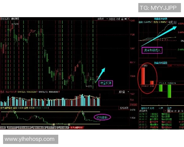 里昂主力阵容全面解析及其在比赛中的表现分析